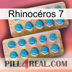 Rhinocéros 7 new08